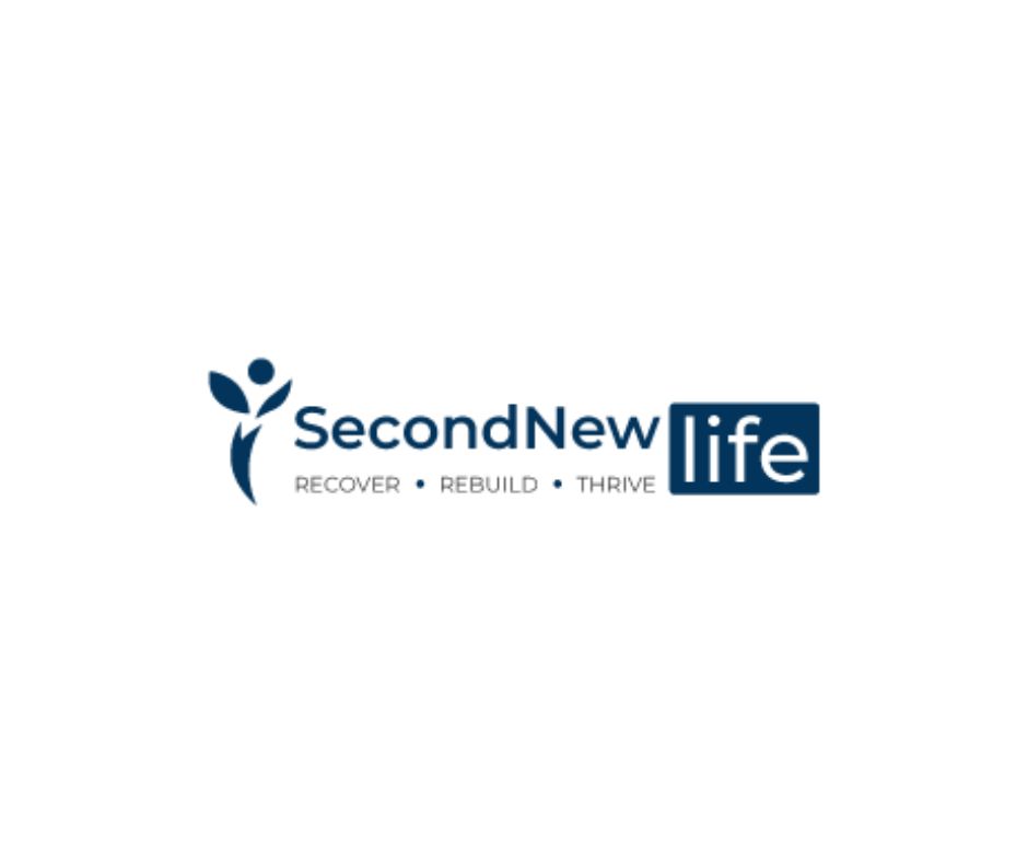 secondnewlife11